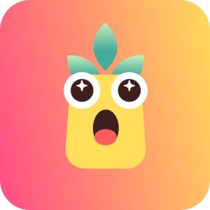 Logo de Pikkopay