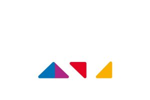 Logo de Aive
